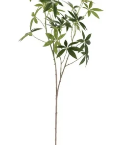 Bizzotto Rami E Corone>RAMO PACHIRA JAMAR VERDE H107CM