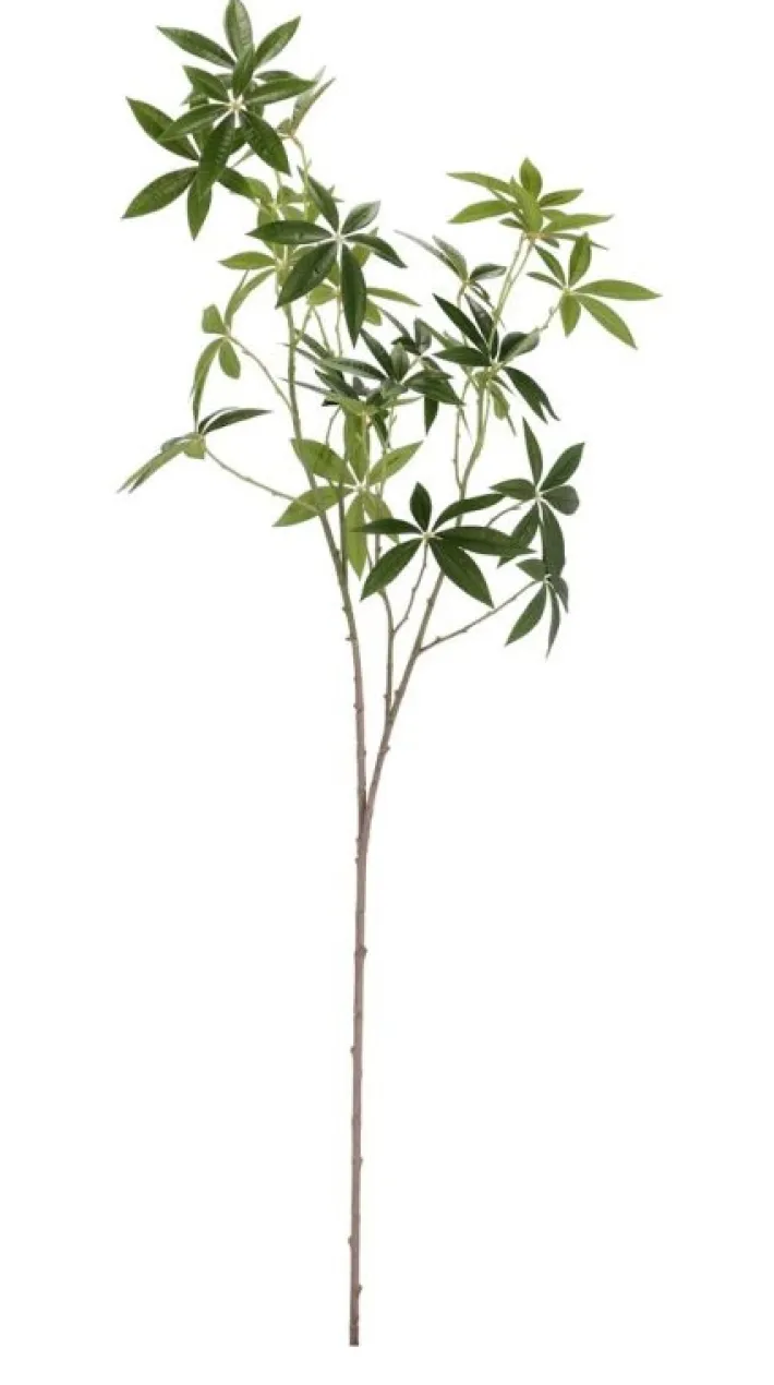 Bizzotto Rami E Corone>RAMO PACHIRA JAMAR VERDE H107CM