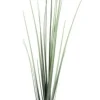 Bizzotto Rami E Corone>RAMO PENNISETUM H120