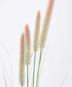 Bizzotto Rami E Corone>RAMO PENNISETUM H120