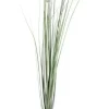 Bizzotto Rami E Corone>RAMO PENNISETUM H150