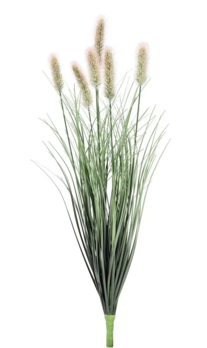 Bizzotto Rami E Corone>RAMO PENNISETUM H60