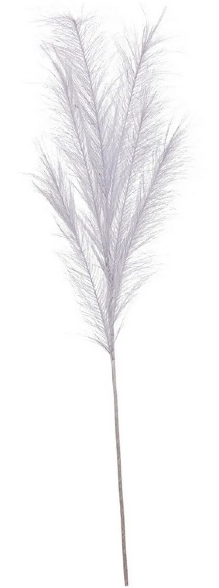 Bizzotto Rami E Corone>RAMO SHERILL PAMPAS BIANCO ARGENTO H100