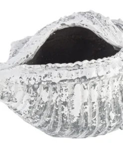Bizzotto Vasi E Coprivasi>VASO CONCHIGLIA MAGNESIA 68X38